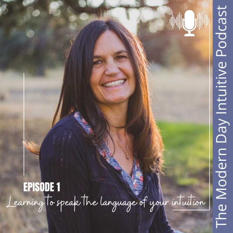 Episode 1: Learning to speak the language of your intuition