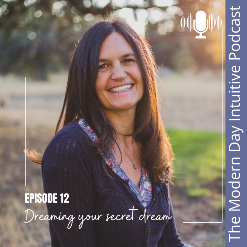 Episode 12: Dreaming your secret dream