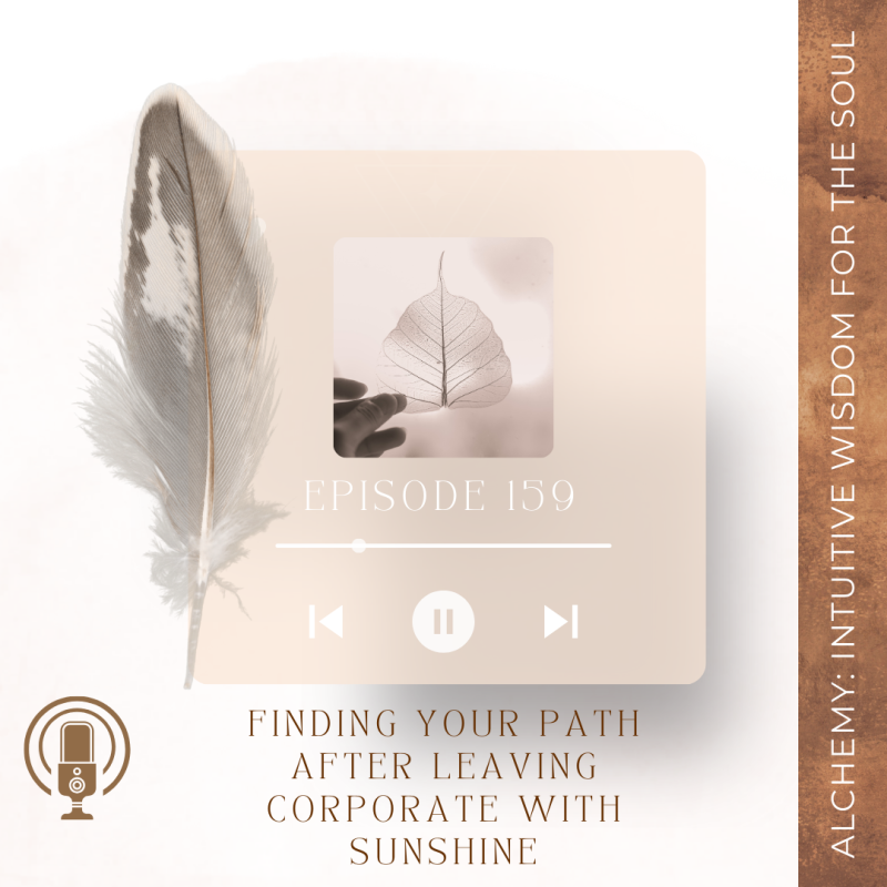 Episode 159: Finding Your Path After Leaving Corporate With Sunshine