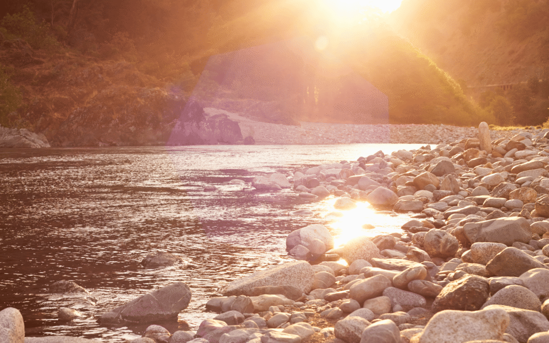 Use Me for Good: A Mantra for Navigating Overwhelming Times