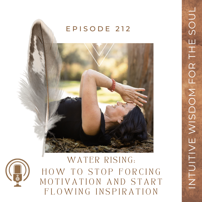 Episode 212: Water Rising – How to Stop Forcing Motivation and Start Flowing Inspiration