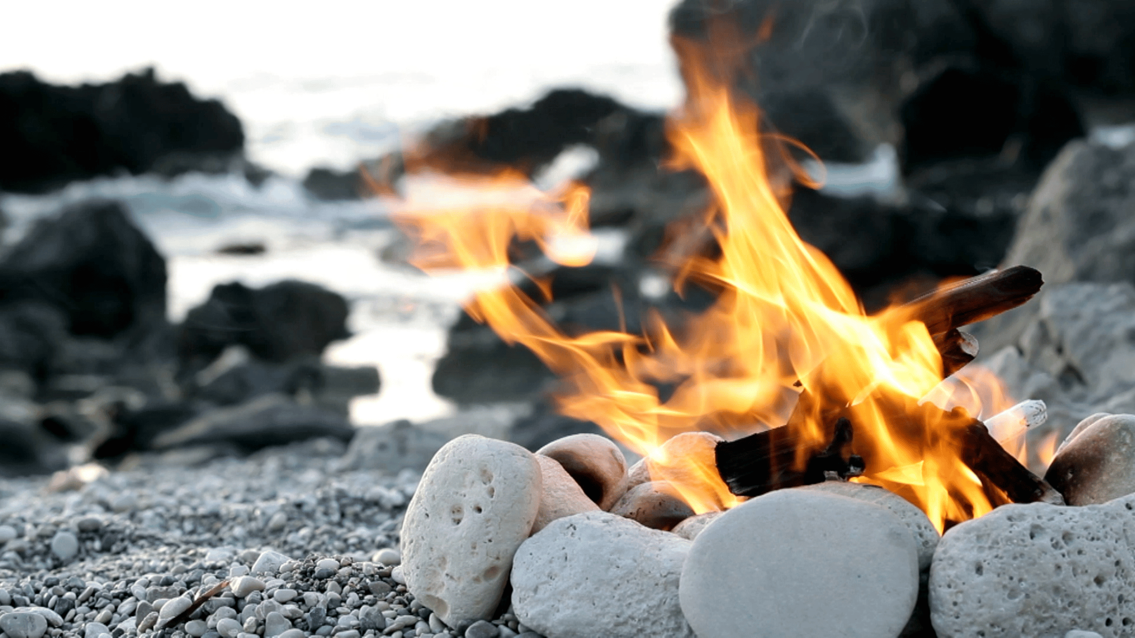 Stepping Into the Fire and Trusting Your Path