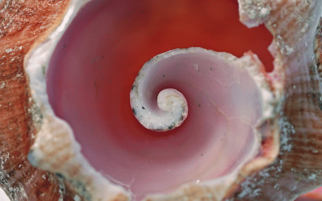 How to Find & Follow Your Inner Compass (Even When Life Gets Chaotic)