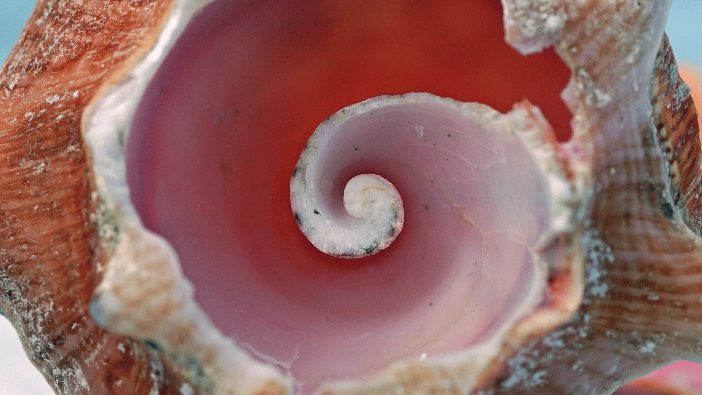 How to Find & Follow Your Inner Compass (Even When Life Gets Chaotic)