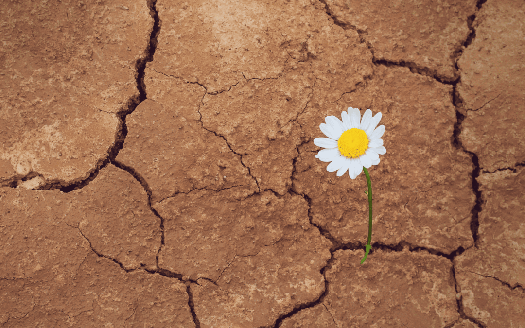 Everything in your life is fuel for creation