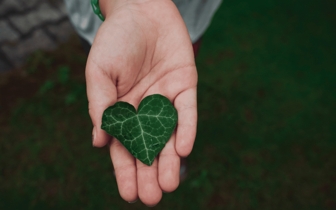 Honoring Your Intuitive Impulses