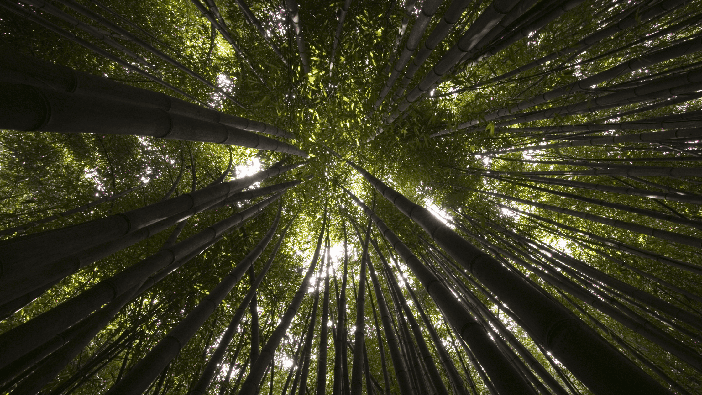 How Returning to the Land Heals Your Body, Mind, and Spirit