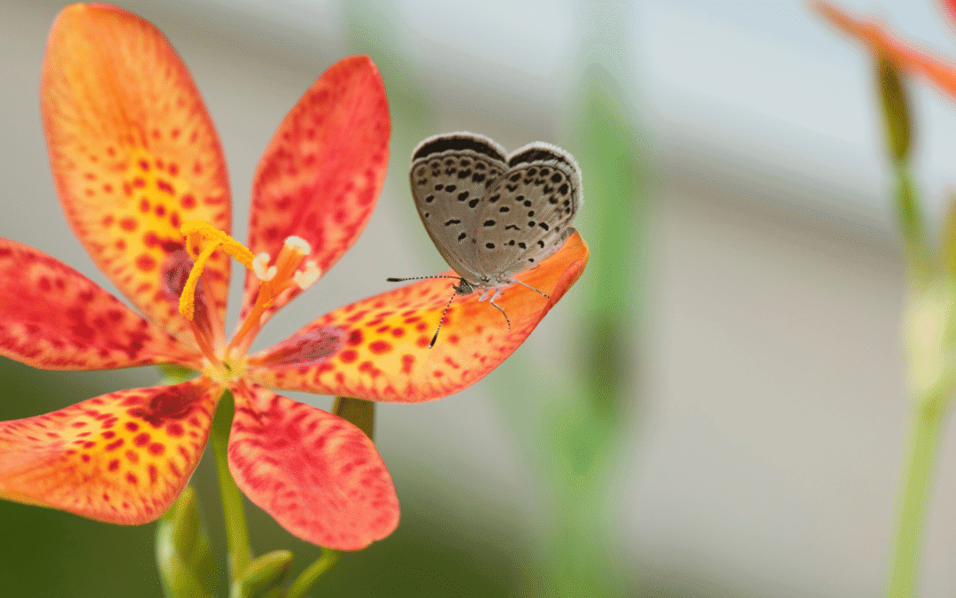 How to Recognize and Trust the Signs the Universe Sends You