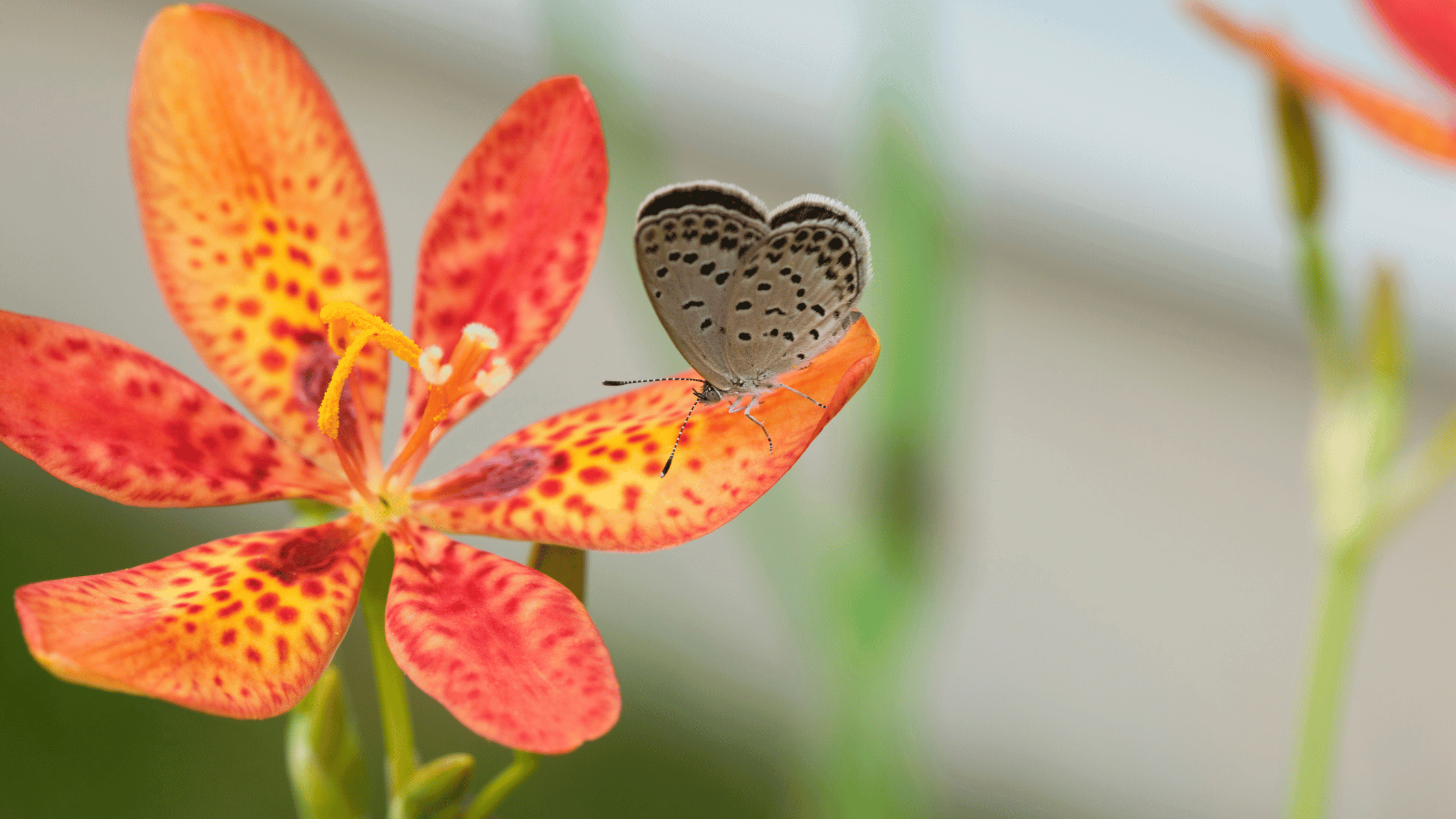 How to Recognize and Trust the Signs the Universe Sends You