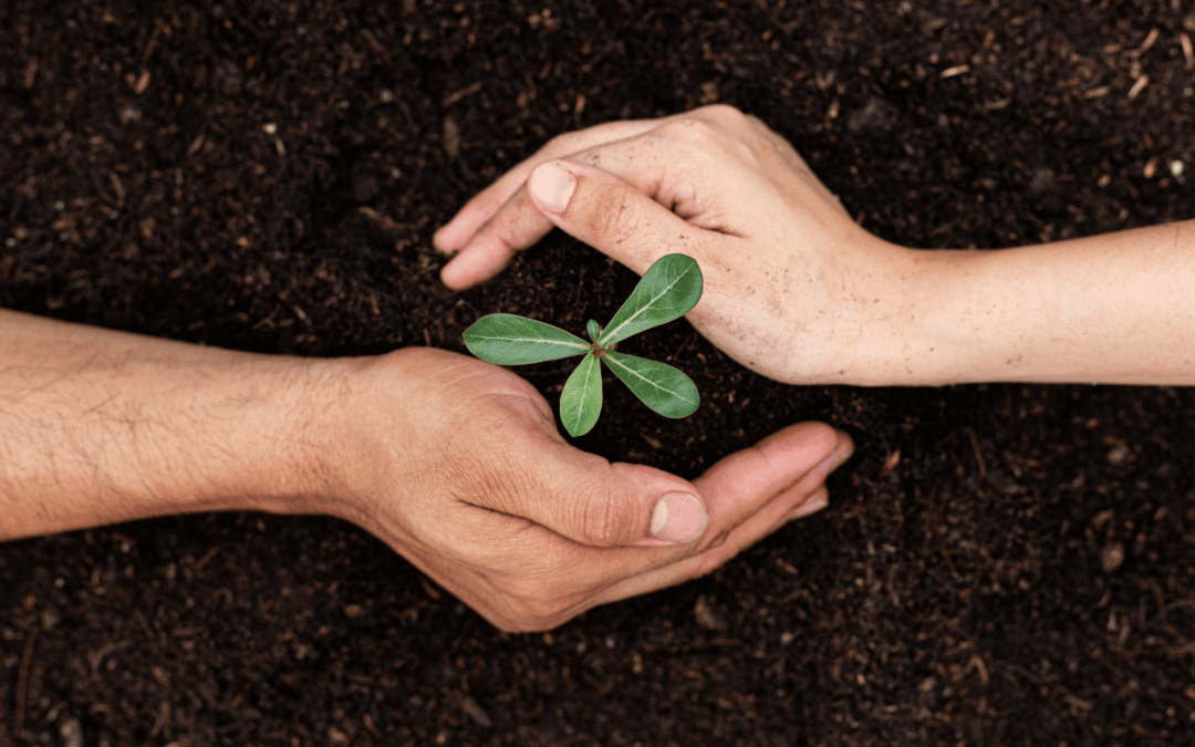 Living in Your Body’s Ancient Wisdom