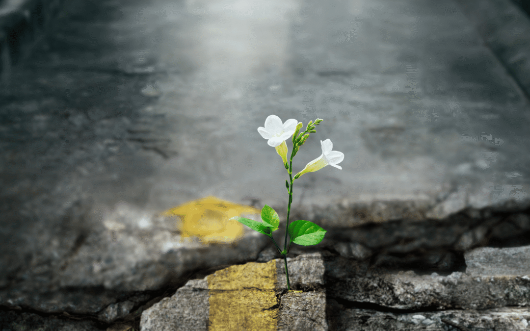 Reclaiming Your Creative Flow