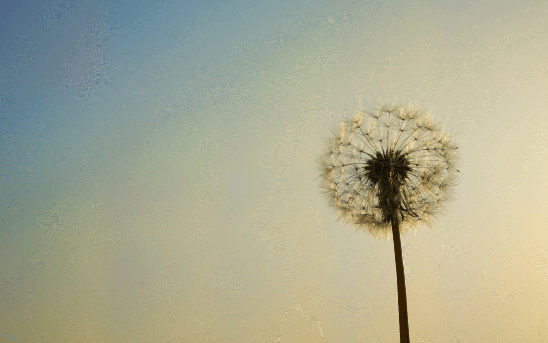 Spiritual Tools to Move Through Feelings of Hopelessness and Despair