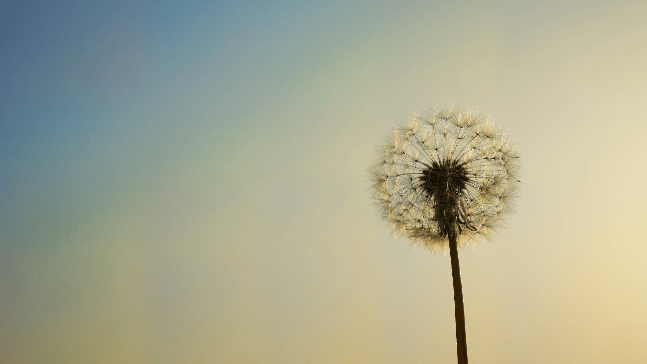 Spiritual Tools to Move Through Feelings of Hopelessness and Despair