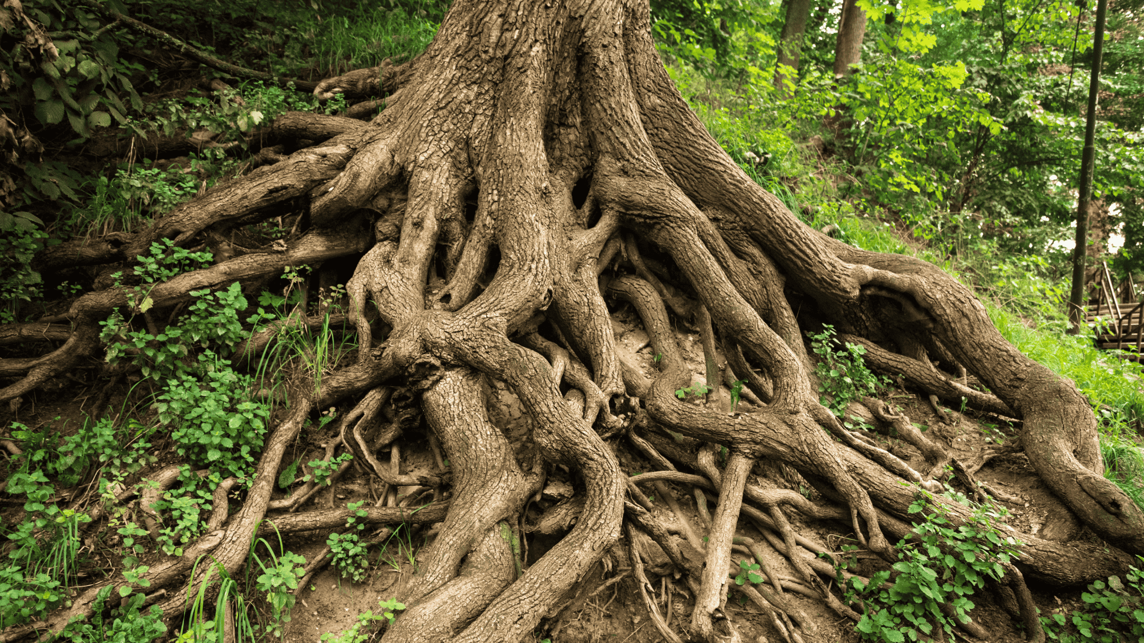 What if the messy and uncertain is exactly where your next right step lives?