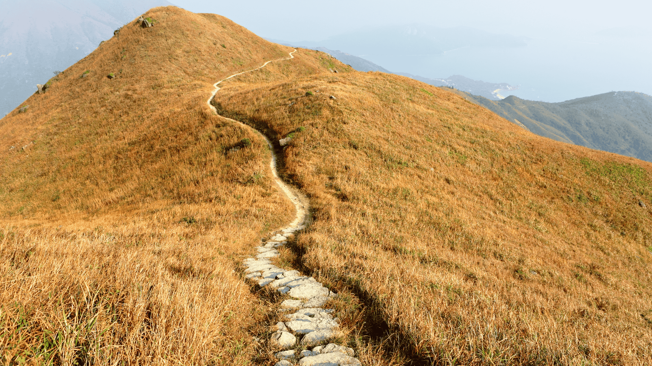 Why Saying “I’m Too Busy” Is Keeping You From the Life You Actually Want