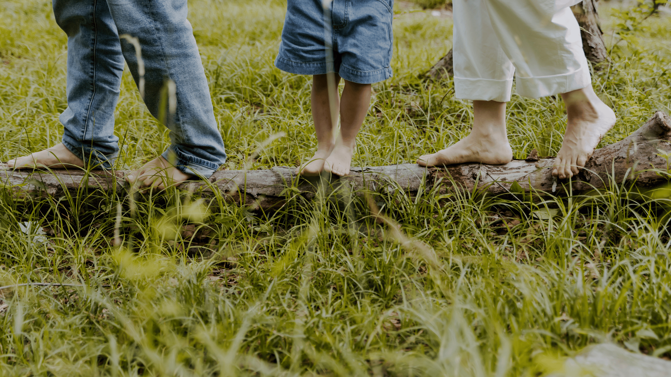 You are the Ancestor: The story of your lineage is still being written – through you.