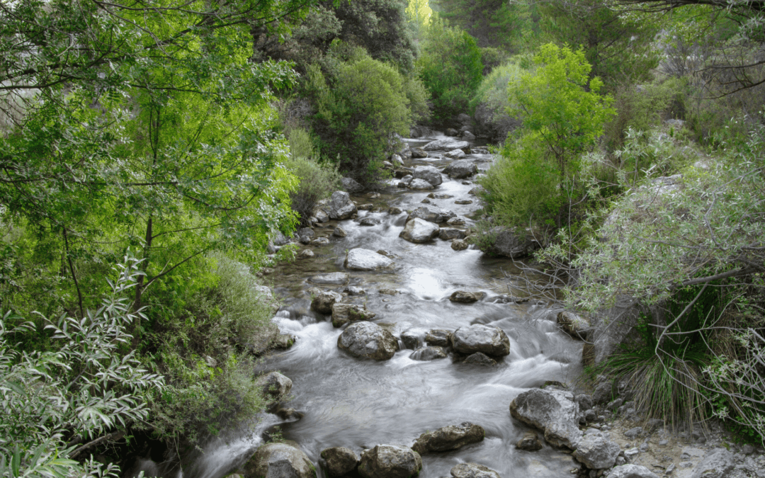 Embodiment Is the Work: Reclaiming Physical Health as Sacred