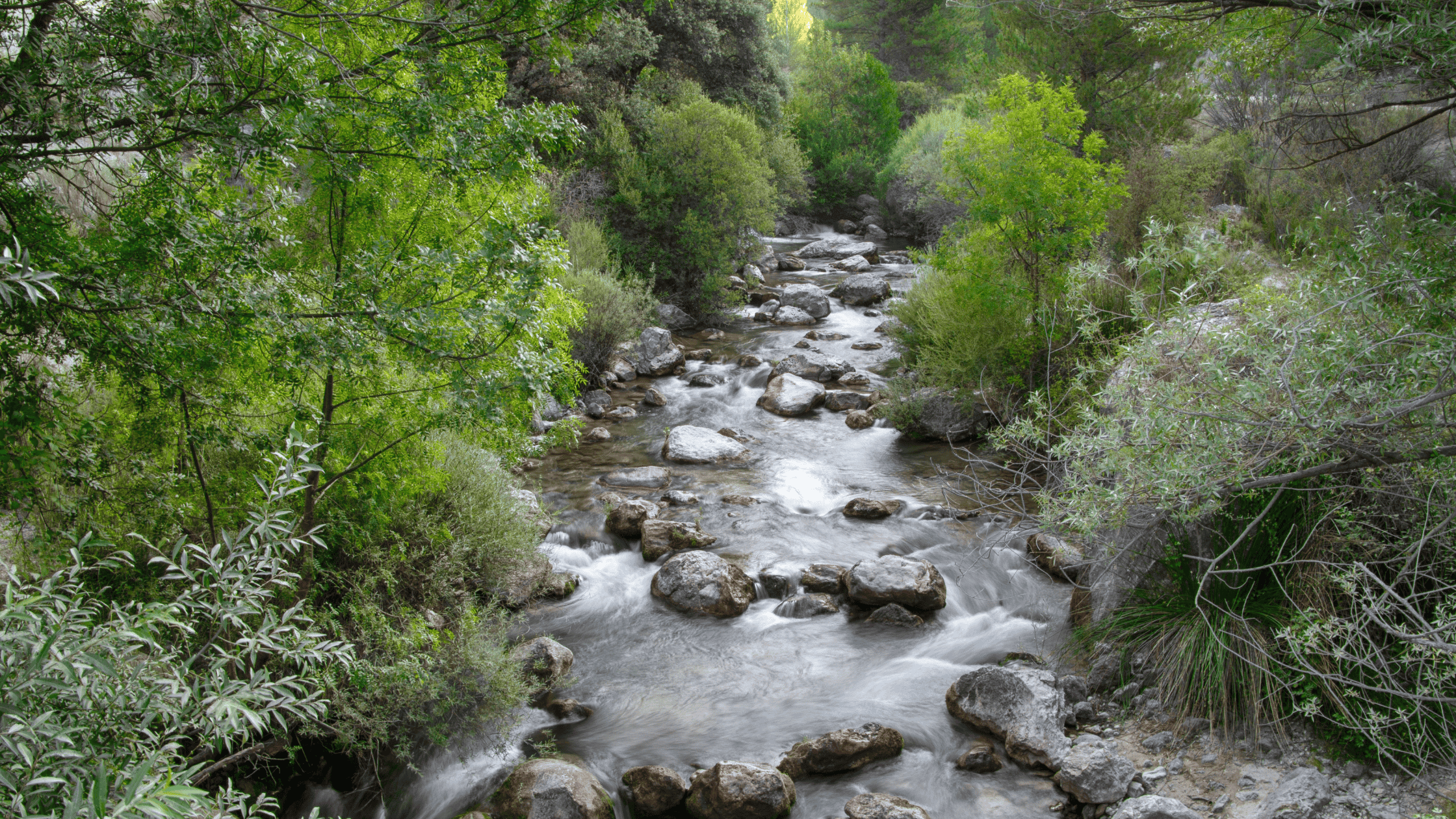 Embodiment Is the Work: Reclaiming Physical Health as Sacred