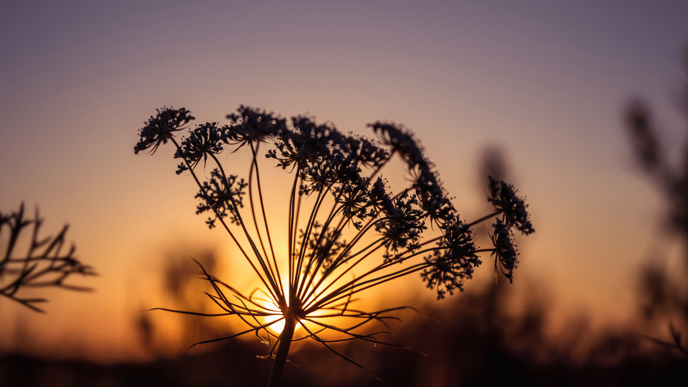 Energetic Health as a Spiritual and Embodied Practice