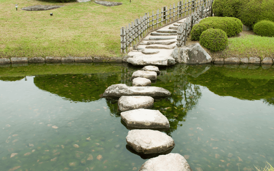 How Survival Instinct Blocks Gratitude…and How to Reconnect