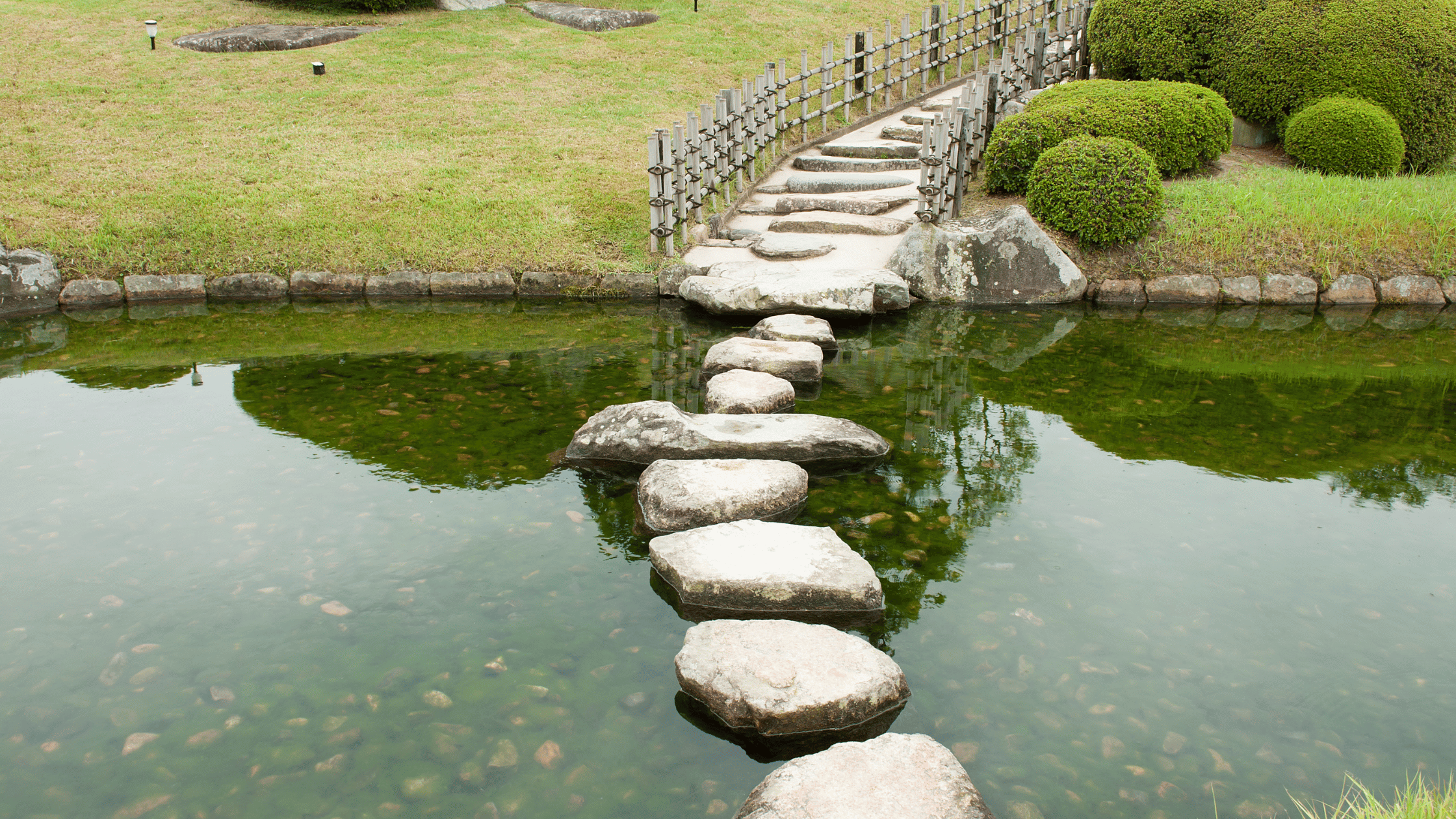 How Survival Instinct Blocks Gratitude…and How to Reconnect