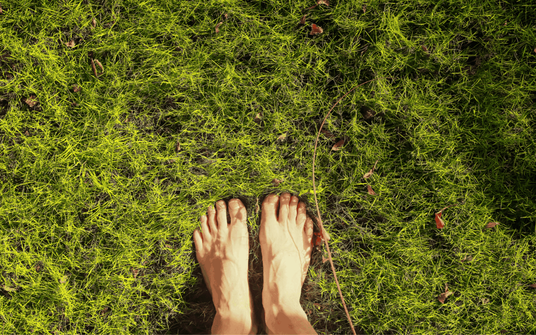Mental Health as a Spiritual and Embodied Practice