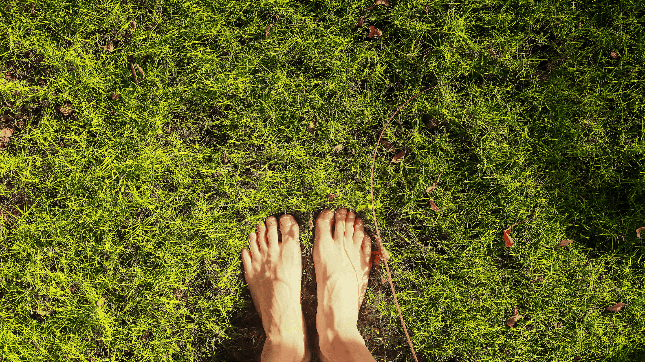 Mental Health as a Spiritual and Embodied Practice