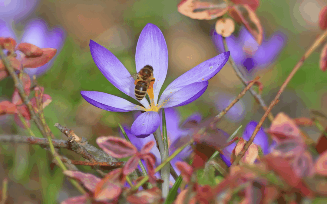 Past Life Healing for Transformation in This Lifetime